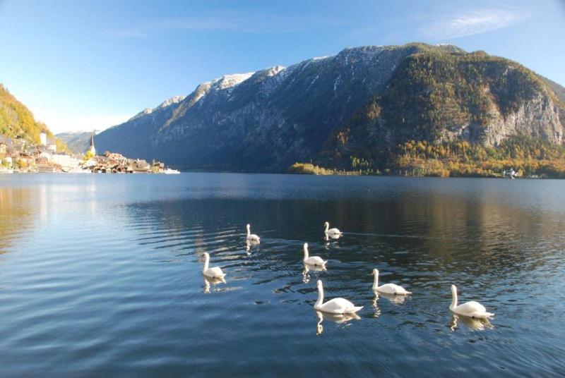 Ferienwohnung Krafttanken Hallstatt Zewnętrze zdjęcie